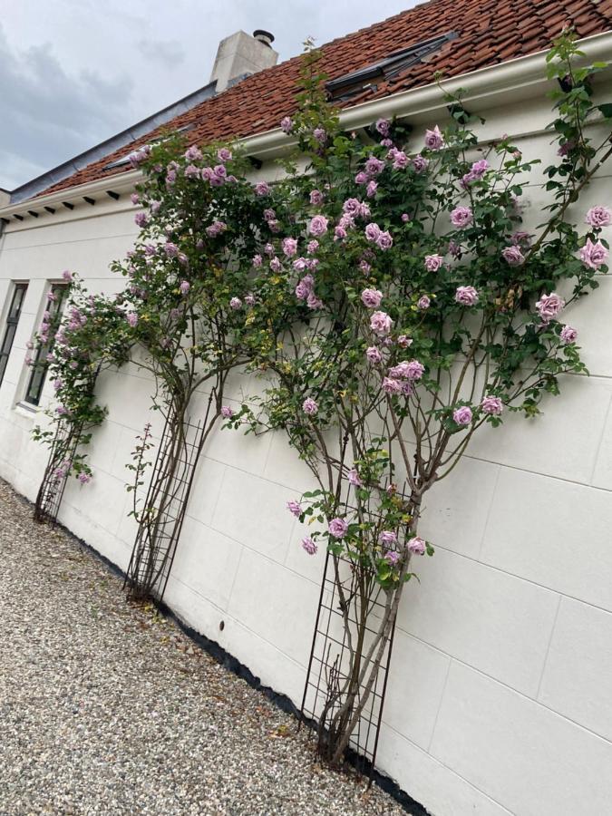 Apartmán Bij Ons Achter Biggekerke Exteriér fotografie